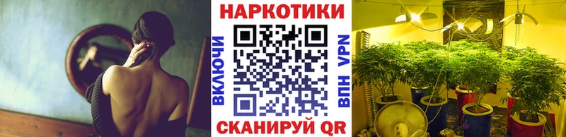 Бошки Шишки Озёры