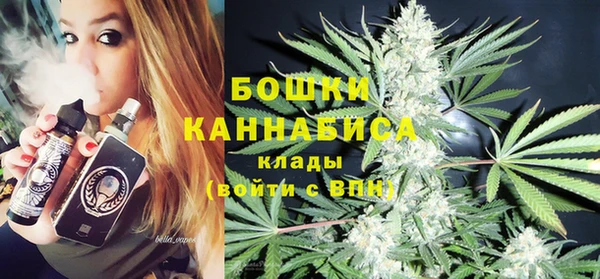 твердый Аркадак