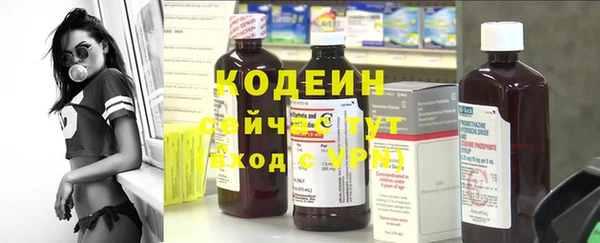 твердый Аркадак