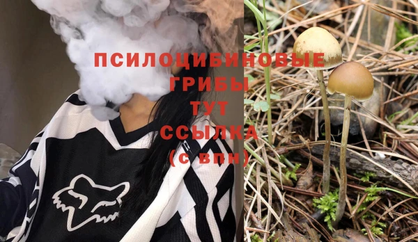 герыч Арсеньев